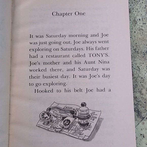 Stranger Who Lived Marry-Go-Round Junior Fiction Children's Chapter Book - Picture 6 of 6